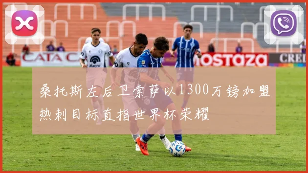 桑托斯左后卫索萨以1300万镑加盟热刺目标直指世界杯荣耀