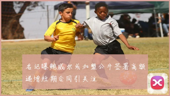 名记曝鲍威尔或加盟公牛签署高额递增短期合同引关注